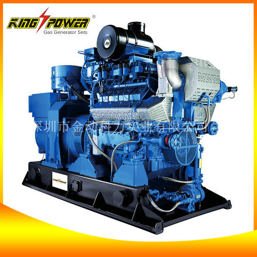 養(yǎng)殖場沼氣發(fā)電機(jī)