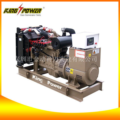 沼氣發(fā)電機廠家